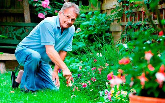 gardener Kyiv